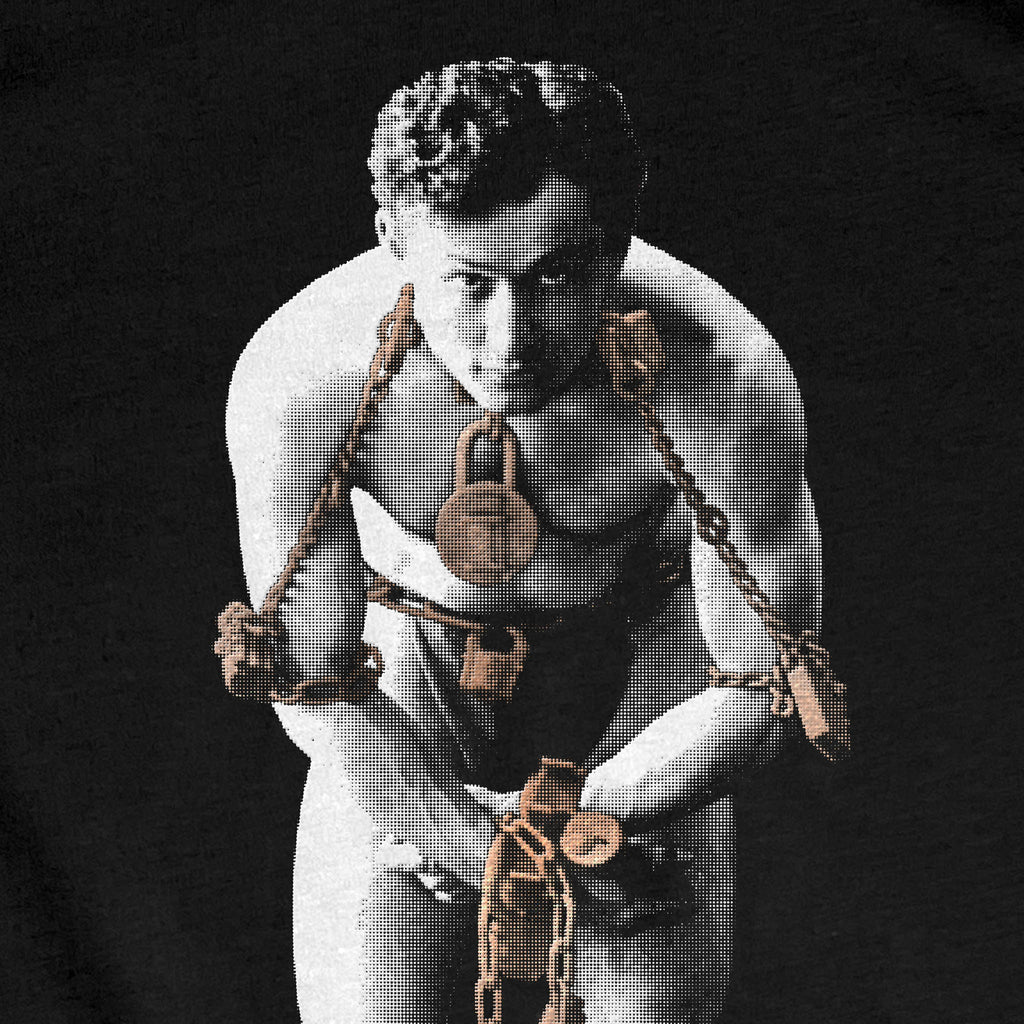 Houdini in Chains First Edition Vault
