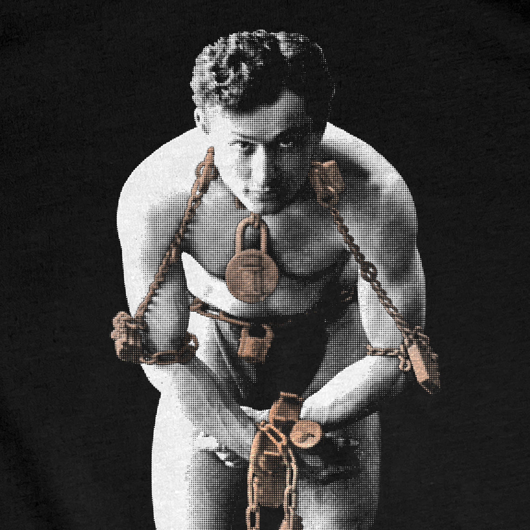Houdini in Chains First Edition Vault