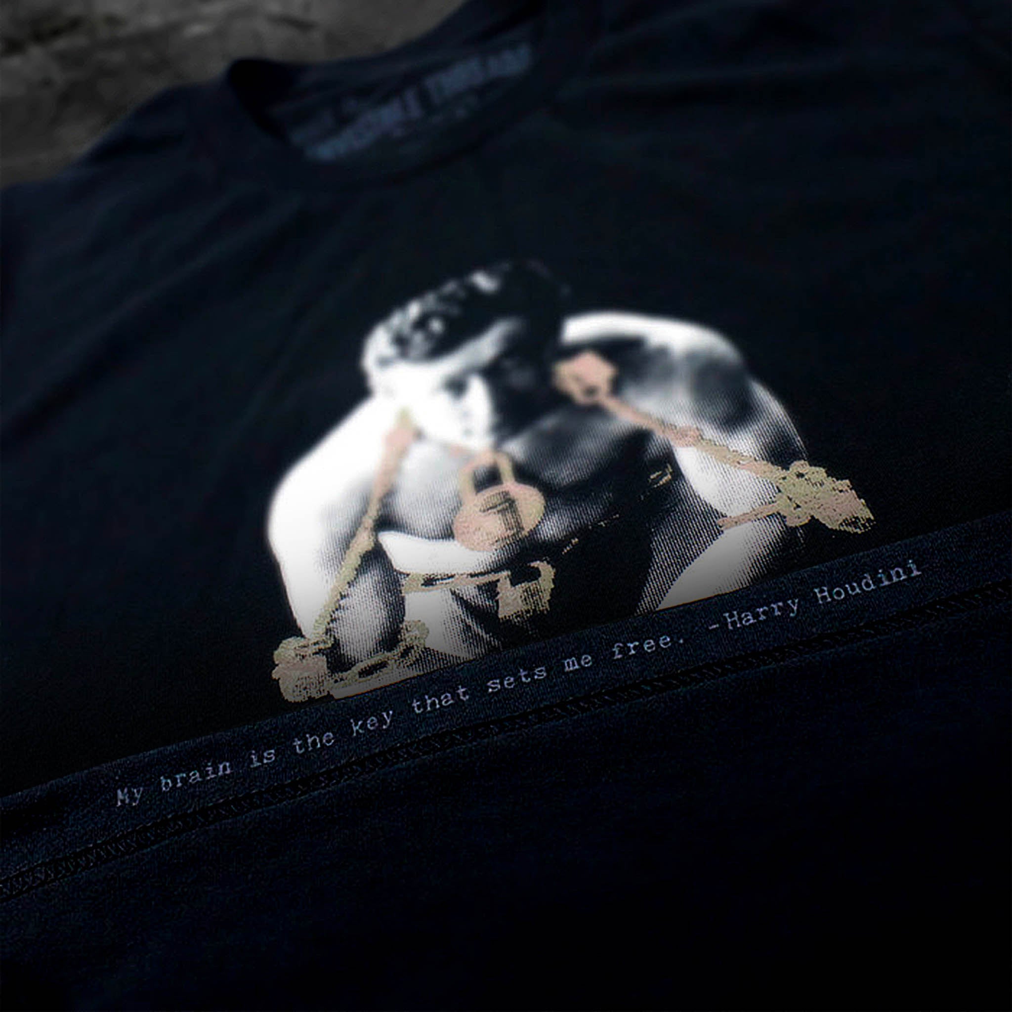 Houdini in Chains First Edition Vault